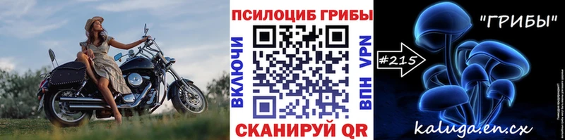 Галлюциногенные грибы мицелий  ссылка на мегу онион  Горнозаводск 